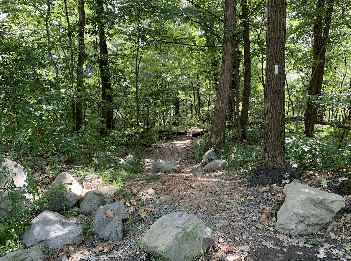View of 501 lookout path trail entry.