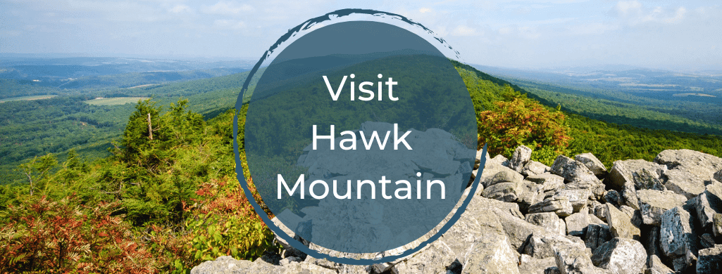 Visit Hawk Mountain.